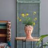 D7X11" Visage Head Bust Planter - Brown - Image 10