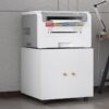 Office Furniture Copier Cabinet 2 Door Steel Copier Stand Mobile Pedestal File Printer Stand - White - Image 4