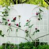 2 Pack Metal Garden Rustproof Trellis For Climbing Plants Outdoor Flower Support - Cream White - Image 10