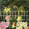 2 Pack Metal Garden Rustproof Trellis For Climbing Plants Outdoor Flower Support - Cream White - Image 13