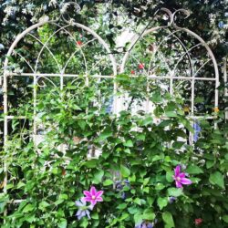 2 Pack Metal Garden Rustproof Trellis For Climbing Plants Outdoor Flower Support - Cream White