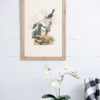 Bird Framed Print (Set of 4) - Multicolor - Image 6