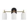 Meadows - 3 Lights Vanity Brush Bathroom Wall Light For Bathroom Over Mirror - Black / Gold / White - Image 6