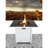 Fire Pit With Powder Coated And Top - White - Image 6