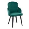 Dahlia - Contemporary Dining Chair (Set of 2) - Green / Black - Image 2