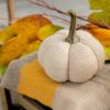 Weighted Pumpkin / Pattern (Set of 3) - Cream - Image 2