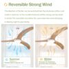 Ceiling Fan, Solid Wood Blades Ceiling Fan With Light With Remote Control, Noiseless Reversible Motor, 6 Speed, 3 Color, For Patio Living Room, Bedroom, Indoor - Matte White - Image 14