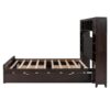 Queen Size Bed With All In One Cabinet, Shelf And Sockets, Twin Long Trundle - Espresso - Image 4