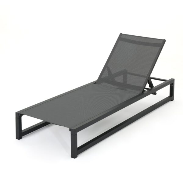 Chaise Lounge With 5 Reclining Positions, Outdoor Patio Lounge Chairs - Black / Gray