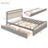 Queen Size Platform Bed With Trundle And 2 Drawers - Gray - Image 13