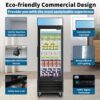 Glass Door Merchandiser Freezer 19.3 Cu.Ft Swing Door Commercial Reach-In Display Freezers With LED Top Panel Upright Freeze Storage - Black - Image 5