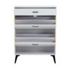 Shoe Cabinet, Shoe Storage Shelves, Metal Leg - White - Image 17