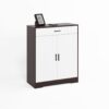 Freestanding Wooden Shoe Cabinet, 4 Tier Organizer With Drawer - White / Walnut - Image 21