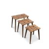 Hilson - Nesting Table - Walnut - Image 7