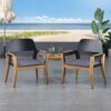 Soho - Transitional Style Outdoor Club Chair (Set of 2) With Cushions - Teak - Image 2