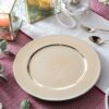 Plastic Charger Plate (Set of 8) - Silver - Image 5