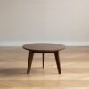 Center Low Coffee Table - Walnut - Image 5