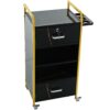 Locking Salon Storage Cabinet, Beauty Barber Salon Styling Station Organizer Equipment With 3 Hair Dryer Holder, 2 Drawers For Beauty Spa Barber Shop - Black - Image 11
