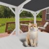 Cat Window Box - Ancient White - Image 6