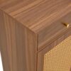 Multi Functional Modern Minimalist Shoe Cabinet Perfectly Blends Into Nordic, Japanese, And Industrial Style Homes - Walnut - Image 15
