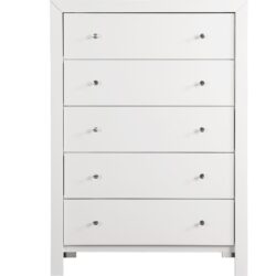 Modern Elegant Transitional Storage Chest - White