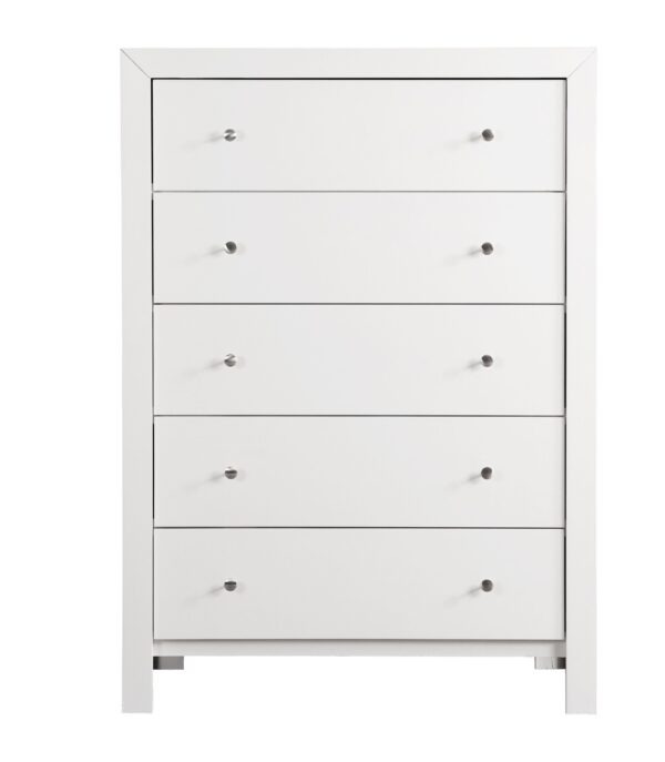 Modern Elegant Transitional Storage Chest - White