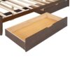 Queen Size Platform Bed With With 2 Big Drawers, Twin Long Size Trundle - Walnut - Image 5