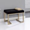 Boice - Ottoman - Black / Champagne - Image 5