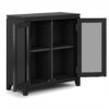 Cosmopolitan - Low Storage Cabinet - Black - Image 2