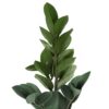 20" Tall, Artificial Plant, Zz, Indoor, Faux, Fake, Table, Greenery, Potted, Real Touch, Decorative - Green / Gray - Image 5