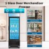Glass Door Merchandiser Freezer 19.3 Cu.Ft Swing Door Commercial Reach-In Display Freezers With LED Top Panel Upright Freeze Storage - Black - Image 6