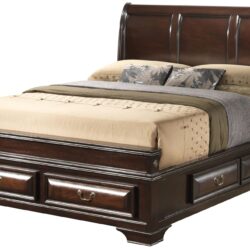 Lavita - Queen Storage Bed - Cappuccino