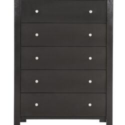 Modern Elegant Transitional Storage Chest - Black