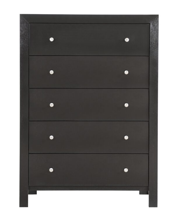 Modern Elegant Transitional Storage Chest - Black