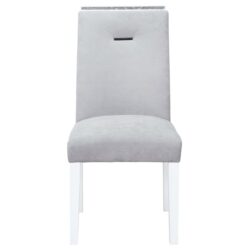 Ariya - Dining Chair (Set of 2) - Gray / White