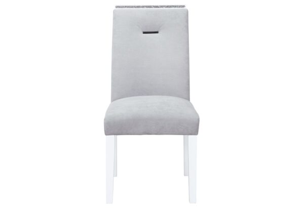 Ariya - Dining Chair (Set of 2) - Gray / White