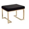 Boice - Ottoman - Black / Champagne - Image 2