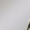 Steampunk - Mirror - Chestnut - Image 4