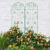 2 Pack Metal Garden Trellis Rustproof Trellis For Climbing Plant Outdoor Flower Support - Green - Image 11