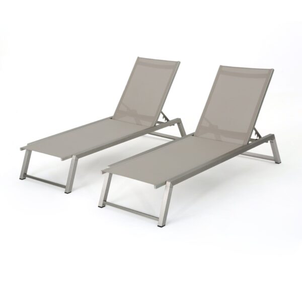 Myers - Modern Chaise Lounge Set With Adjustable Mesh Back - Gray