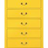 Louis Phillipe - Chest - Yellow - Image 2