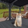 Premium Cat Window Box With Bug Proof Net For Large Indoor Cats Spruce Wood & Polyester - Antique Gray - Image 9