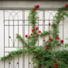 2 Pack Metal Garden Trellis Rustproof Trellis For Climbing Plants Outdoor Flower Support - Brown - Image 10