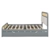Queen Size Platform Bed With Trundle And 2 Drawers - Gray - Image 3