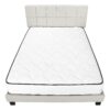 Queen Size Bed, Upholstered, Transitional - Beige - Image 5