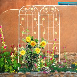 2 Pack Metal Garden Trellis Rustproof Trellis For Climbing Plant Outdoor Flower Support - Cream White