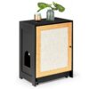 Cat Litter Box Enclosure, Hidden Cat Washroom, Kitty End Table, Litter Cabinet With Sisal Door - Black - Image 9