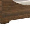 Gibson - Alder Wood Finish Modern Comfy Pet Bed With Cushion - Brown - Image 3