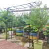 Metal Garden Arch Climbing Plants Support Rose Arch Outdoor - Black - Image 5