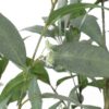 Artificial Eucalyptus Leaves Bonsai - Green - Image 12